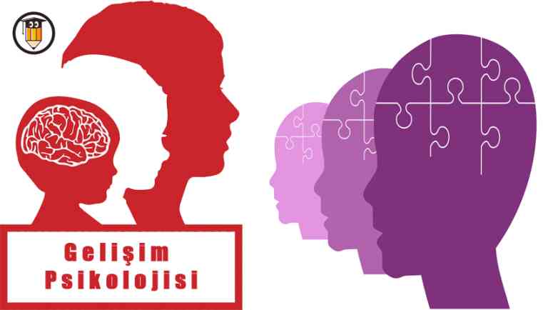 KPSS Gelişim Psikolojisi Ders Notları PDF İndir | Öğrenci Gündemi