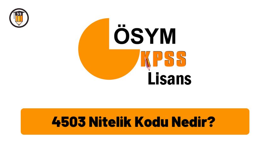 4503 Nitelik Kodu Nedir?
