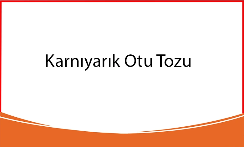 Karnıyarık Otu Tozu Kullananların Yorumları